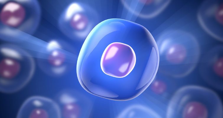 Statistical Center for Single-Cell and Spatial Genomics (SC-SCSG)